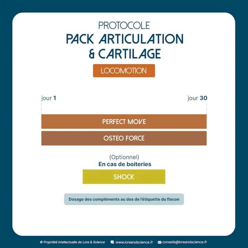 Articulation & cartilage pack - Lameness and rheumatism in dogs - Lore & Science